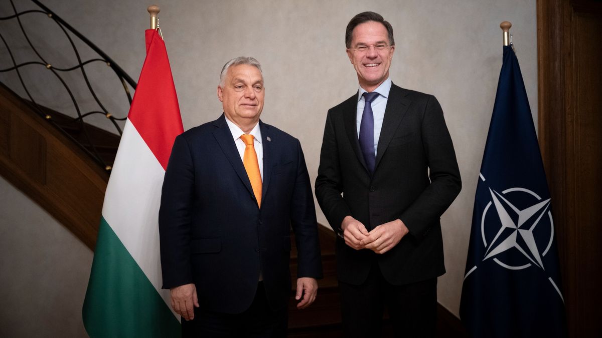Mark Rutte, Orbán Viktor