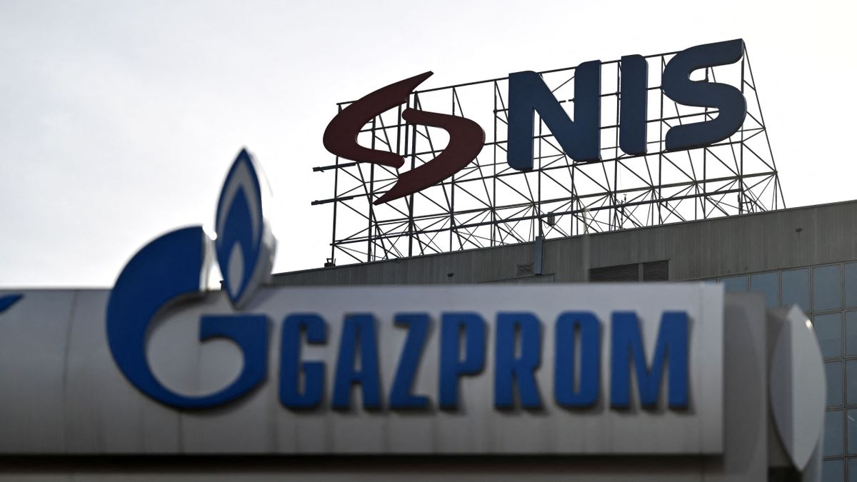 szerb nis gazprom
