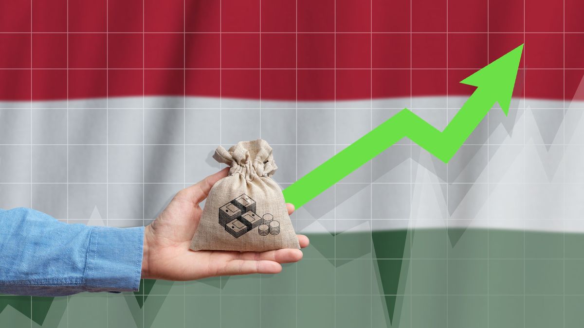 The,Concept,Of,Economic,Growth,In,Hungary.,Hand,Holds,A