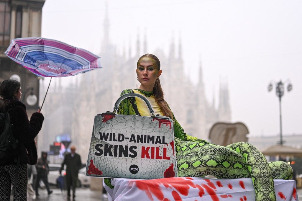 PETA, USAID, NGO