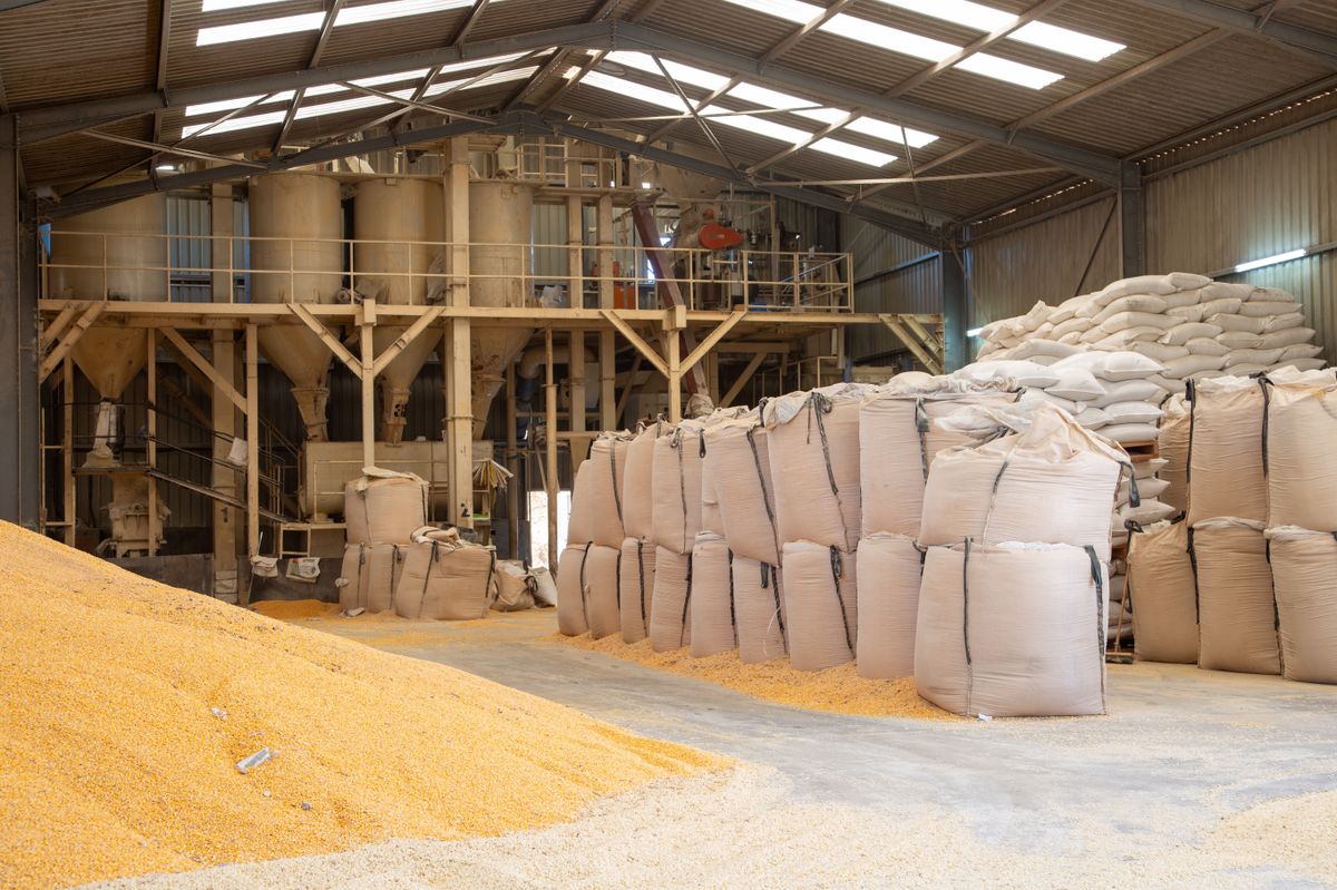 Grain,Warehouse,In,Africa,During,Ukraine,War, toxin