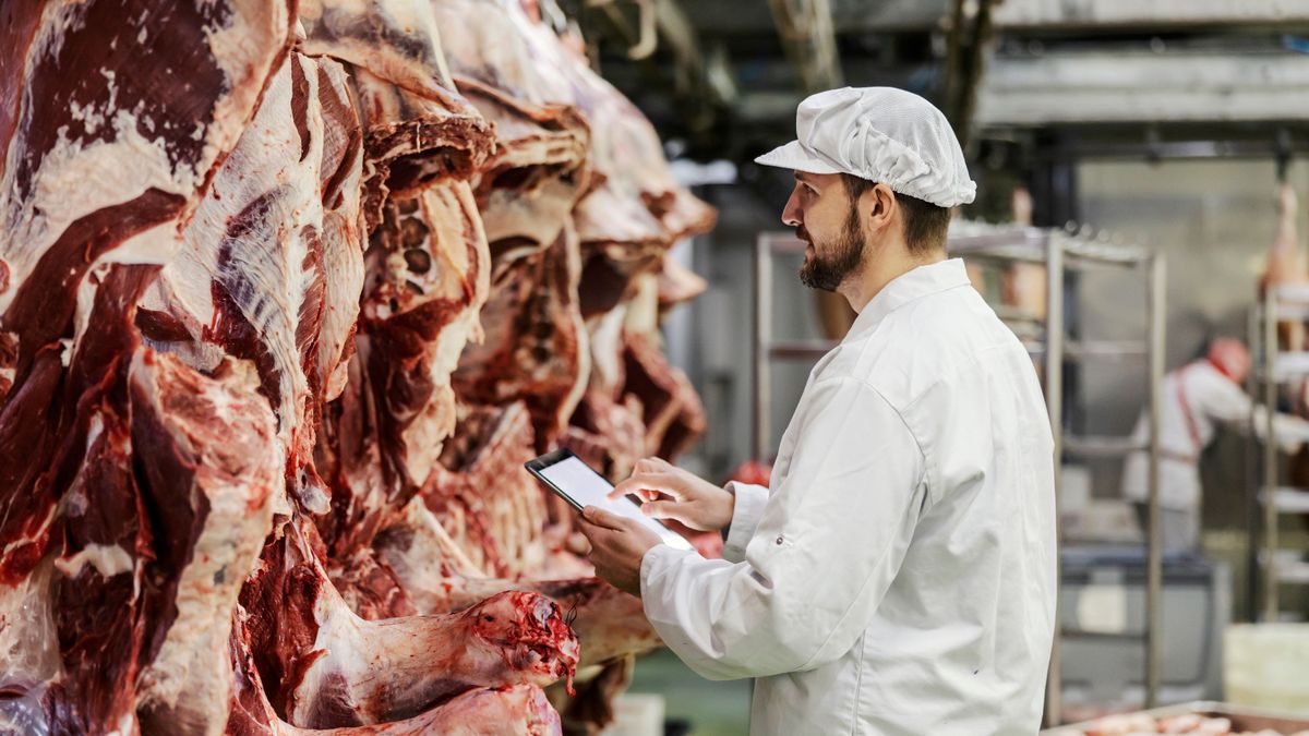 Erős mankót adott az agrár-külkereskedelem a magyar gazdaságnak 