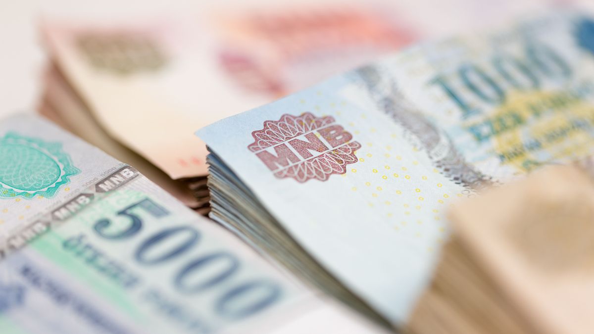 készpénz, forint