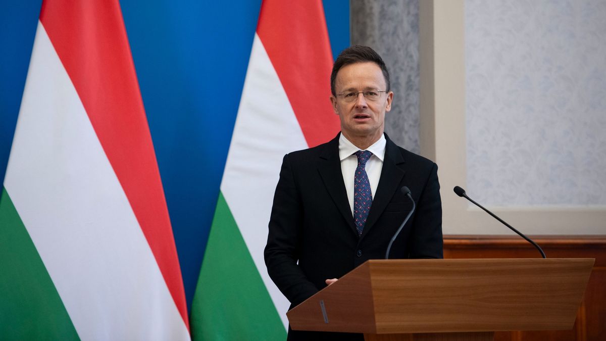 SZIJJÁRTÓ Péter
élelmiszeripar
Nissin Food