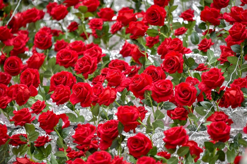Rose stairs in Chongqing Valentin Valentin-nap rózsa virág