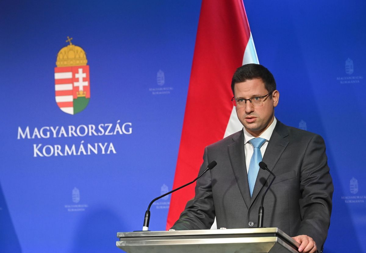 GULYÁS Gergely, demján sándor program