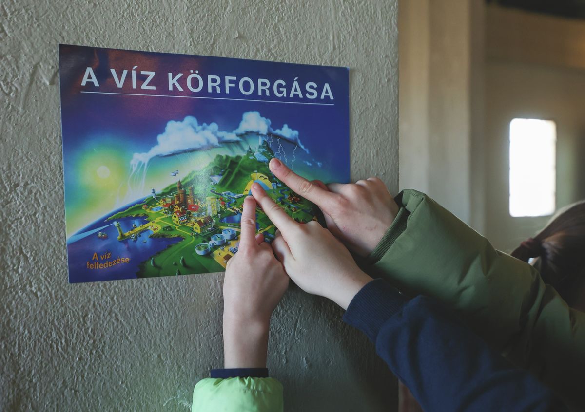 Víz Világnapja