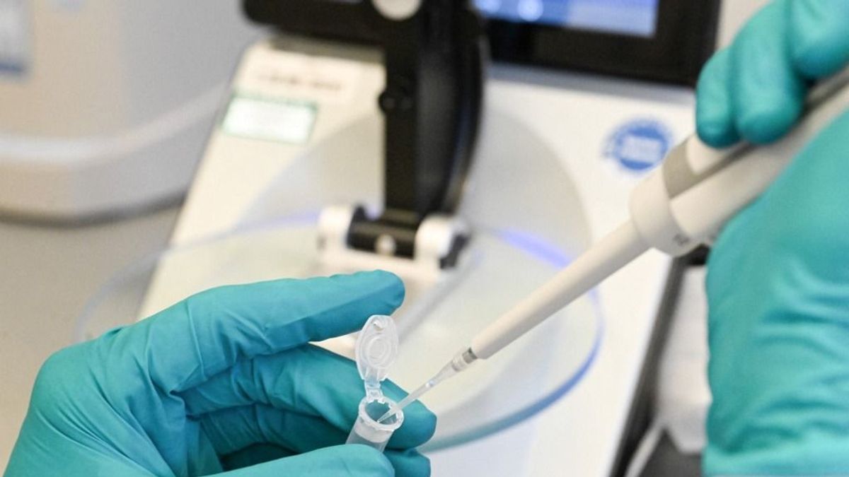 Magyar lendület a jövő orvostudományában: öt startup, amely átírhatja a szabályokat 
