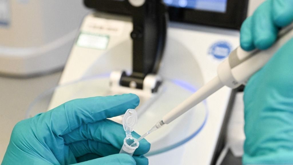 Biotech company Curevac A német titkosszolgálat szerint a pandémiát okozó koronavírus a vuhani laboratóriumból szivárgott ki. magyar startup