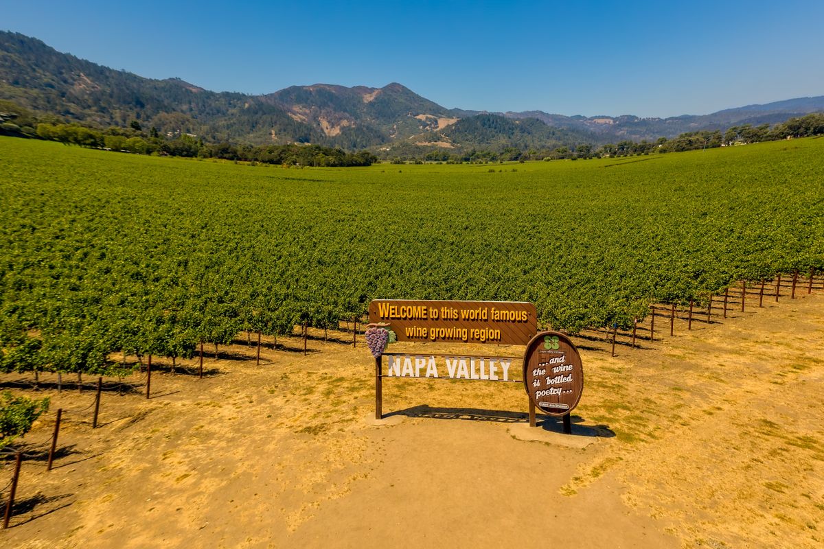 Field,Of,Grape,Vines,And,Sign,For,Wine,Of,Napa