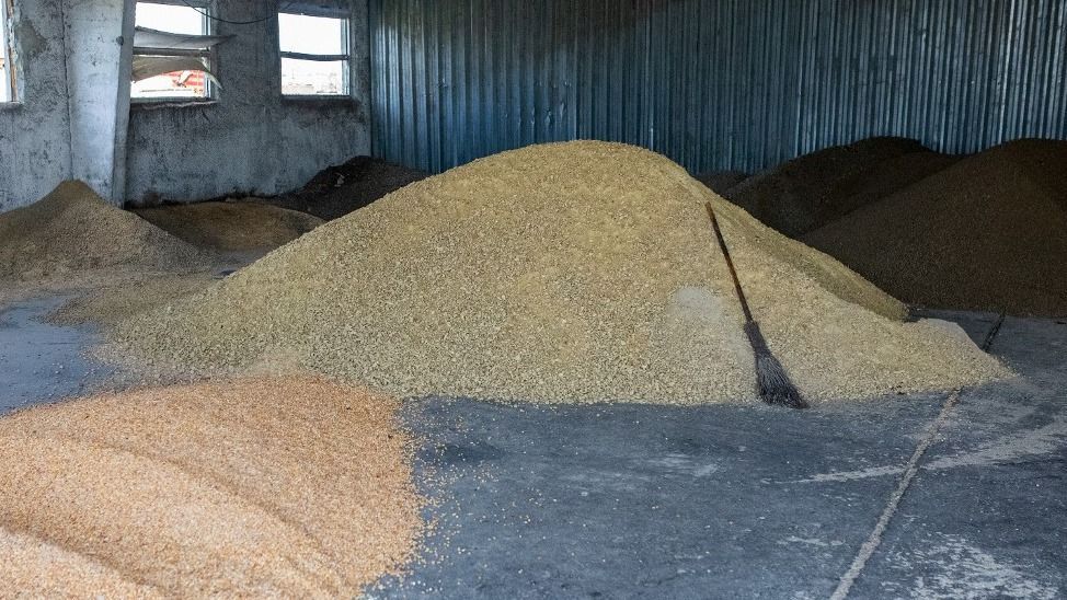 mezőgazdaság,Persistent attacks devastate Kharkiv farm, killing over 400 cows and disrupting regional agriculture