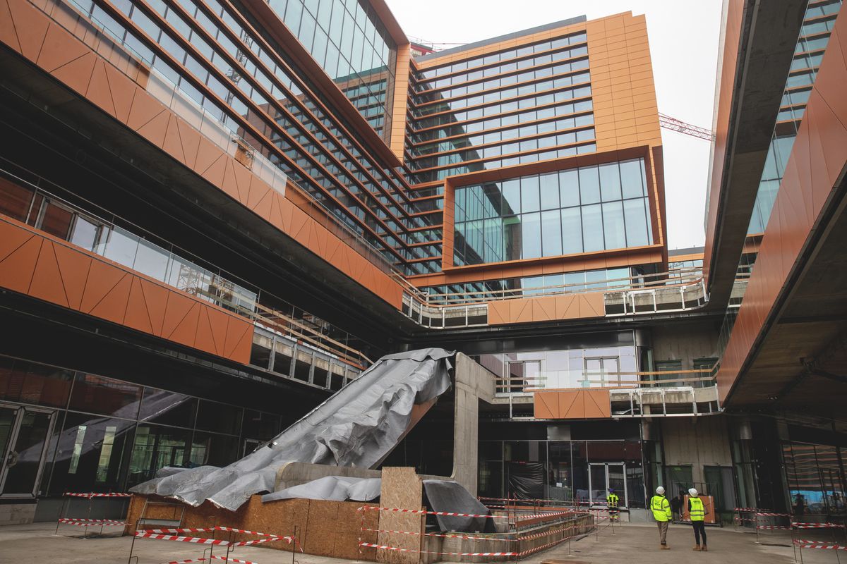 bayer construct