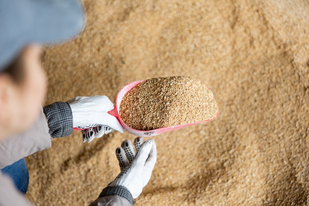 Confident,Woman,Owner,Of,Dairy,Farm,Checking,Quality,Of,Soybean
