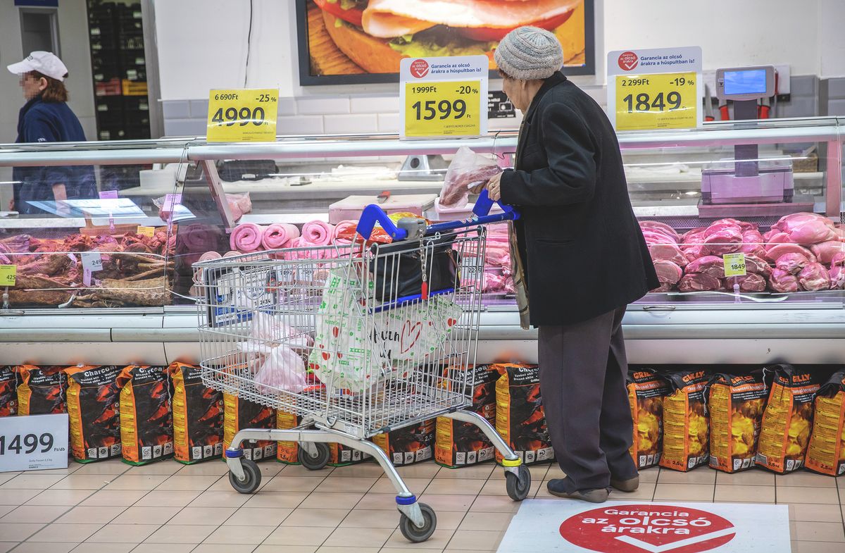 20250318_tesco_010_VZ

bevásárlás, vásárlás, húspult, infláció, nyugdíjas, tesco, árrésstop, árstop, árréskorlátozás, árrés
