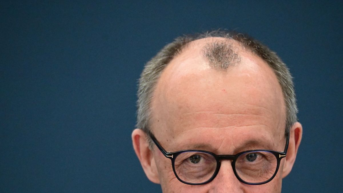 német friedrich merz