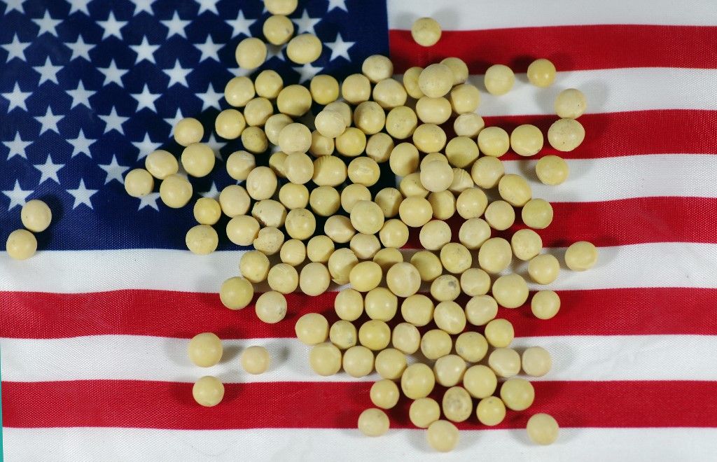 A vámháború újabb epizódja: egészségre veszélyes az amerikai szójabab a kínai hatóságok döntése szerint, ezért nem jöhet Kínába U.S. soybeans, grains rally over China trade optimism, export data