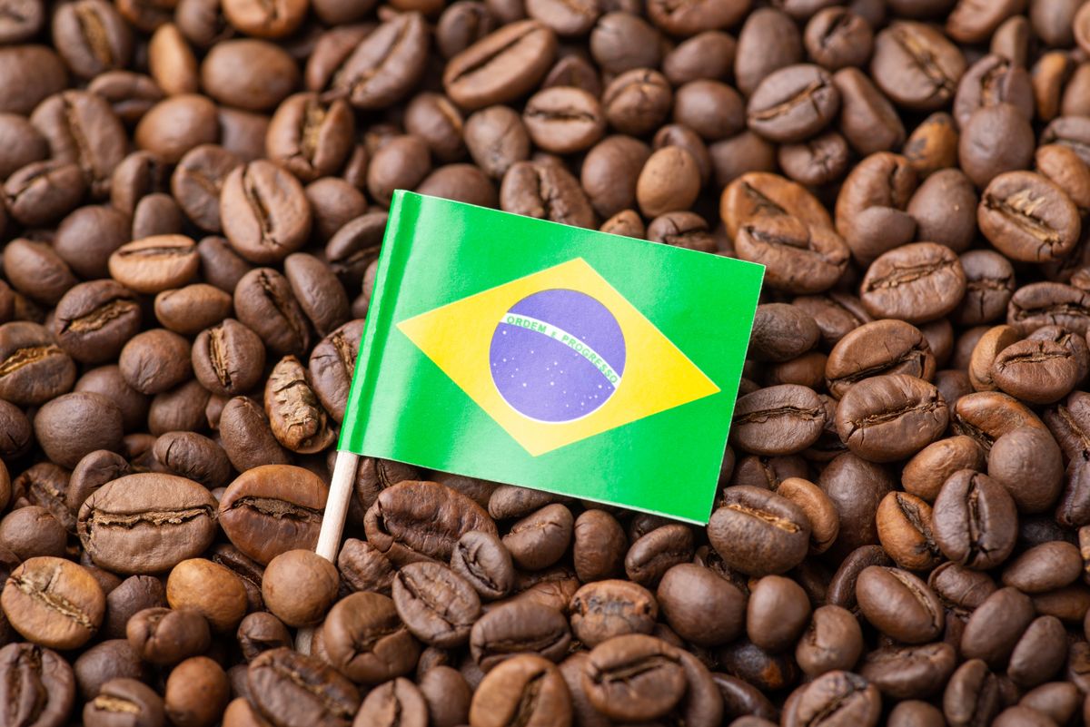 kávé ára Flag,Of,Brazil,In,Roasted,Coffee,Beans.,Growing,Coffee,In  kávé, brazília, kávéültetvény