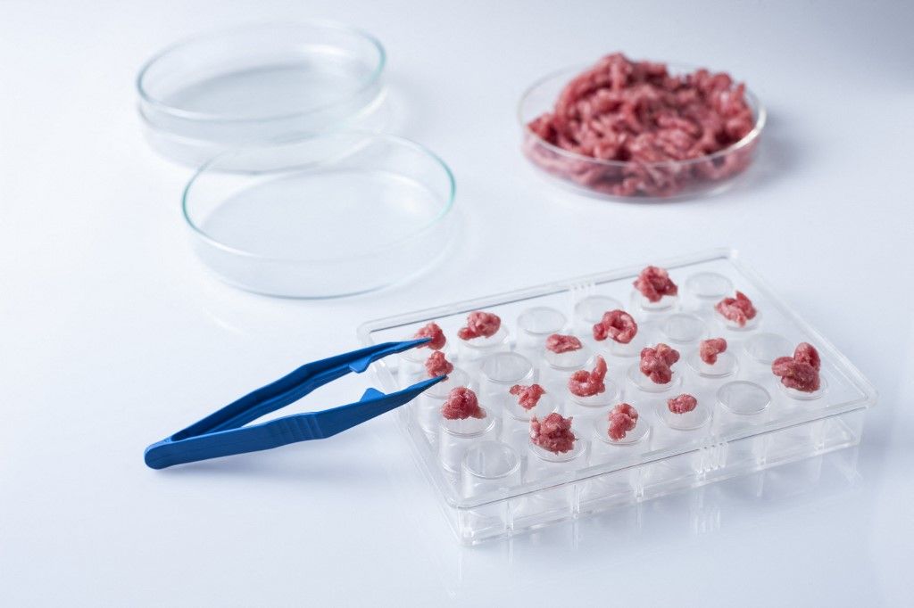Lab-grown meat, conceptual image, műhús