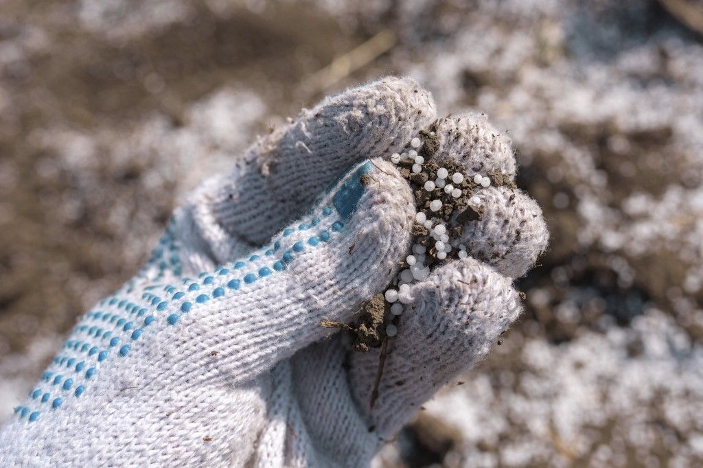 Bige László cége nem az egyetlen, amely nehézségekkel szembesült az európai műtrágyaiparban Gloved hand holding granular soil fertiliser