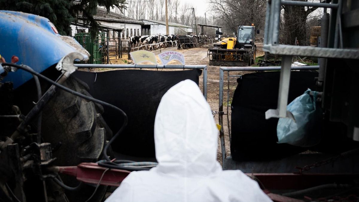 Rendkívüli állapotot hirdettek a Dunaszerdahelyi járásban
 