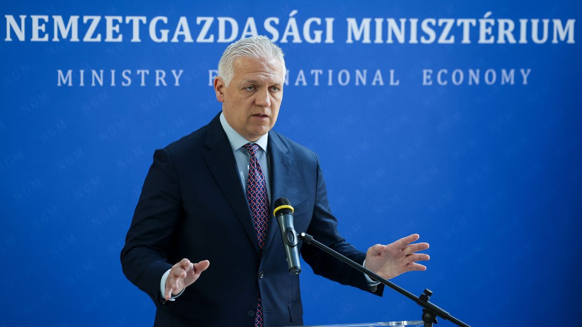 pályázat