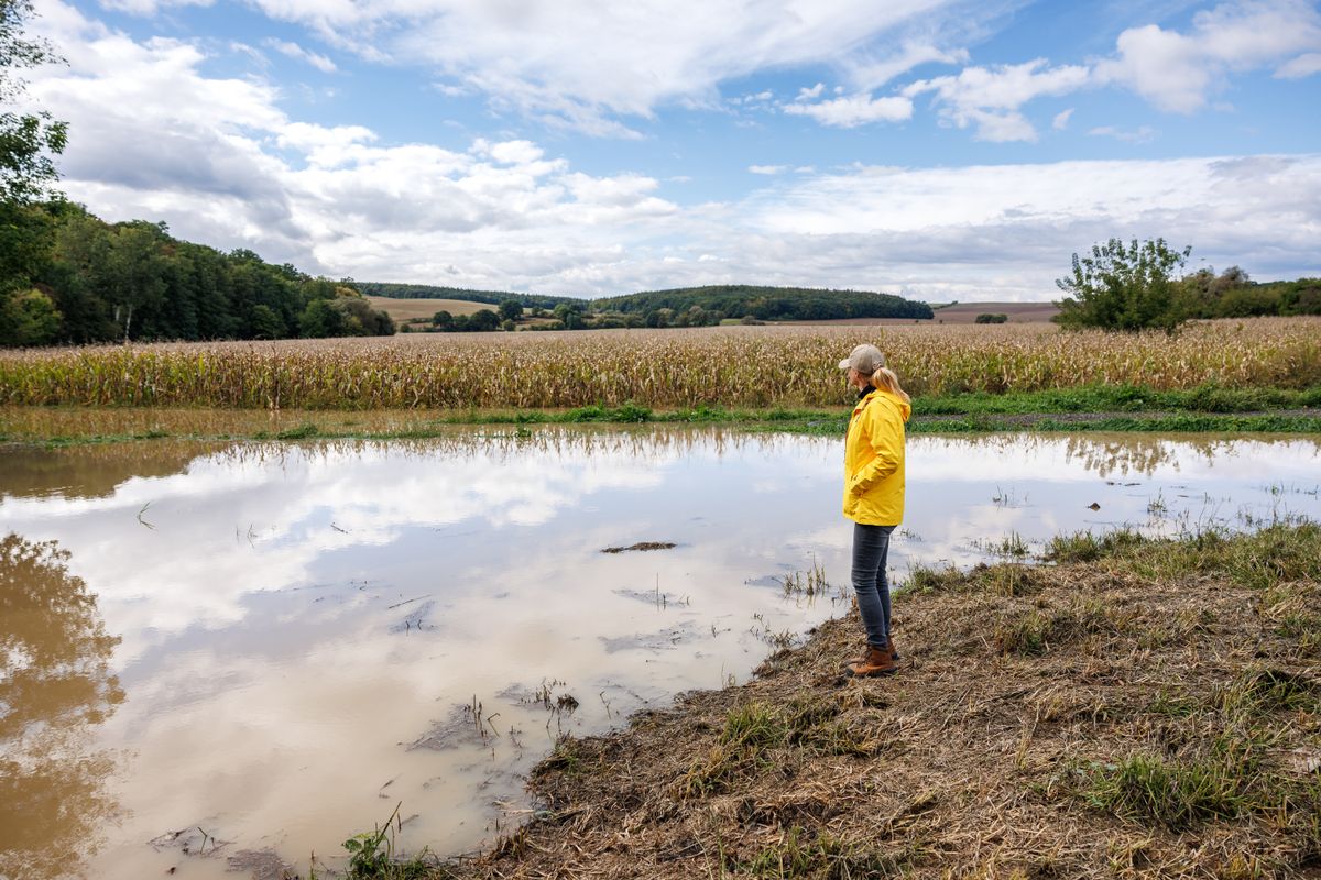 Worried,Female,Farmer,Looks,At,Flooded,Corn,Field.,Impact,Of, vízgazdálkodás
