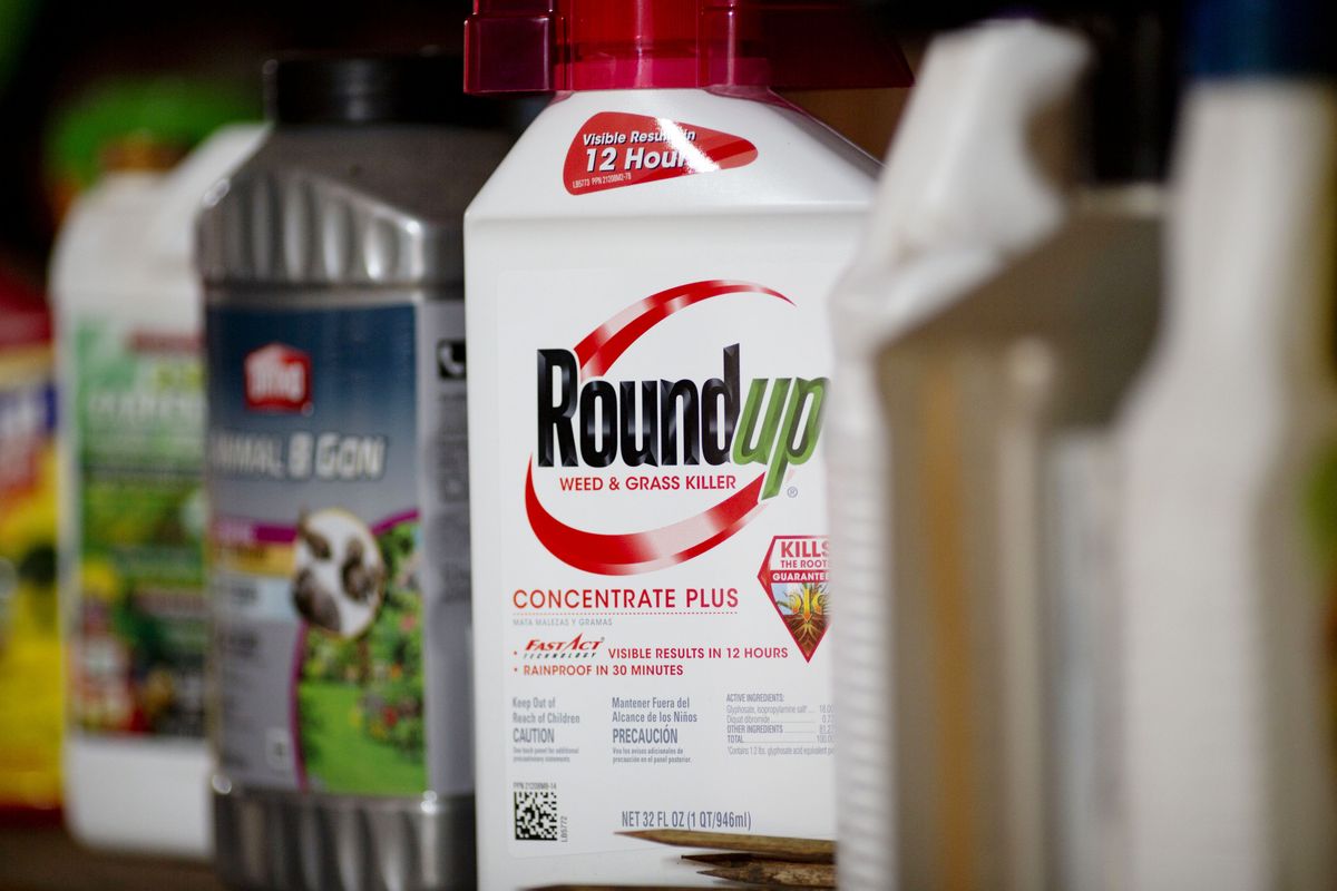 Bayer, Roundup, gyomirtó, Bayer Keeps Roundup Faith After Losing Second Trial on Cancer