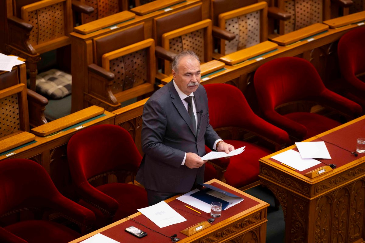 Nagy István, műhús