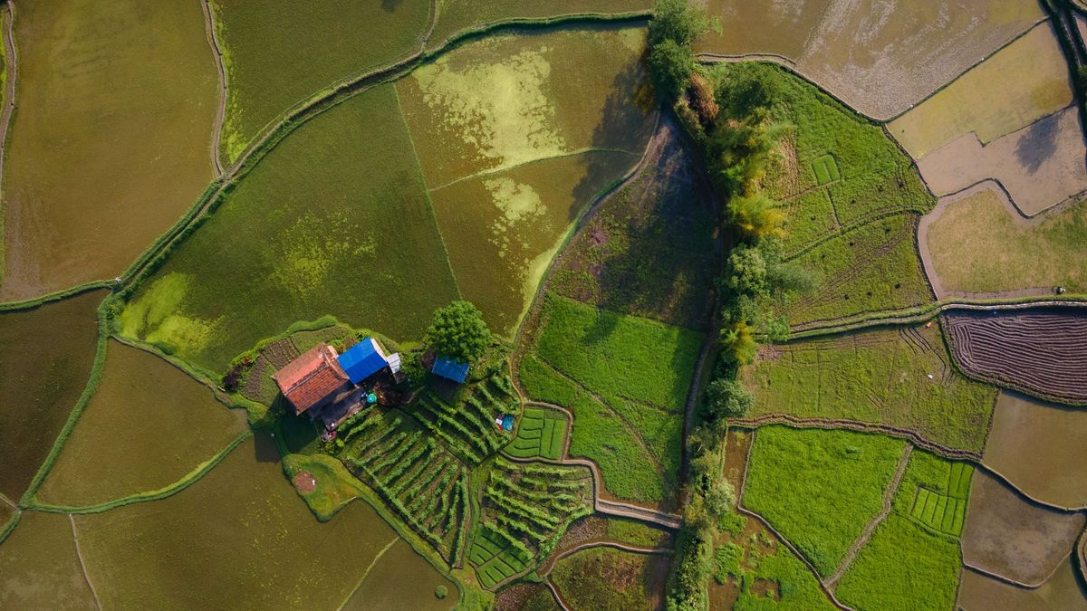 A,Paddy,Field,Is,A,Flooded,Field,Of,Arable,Land, termőföld