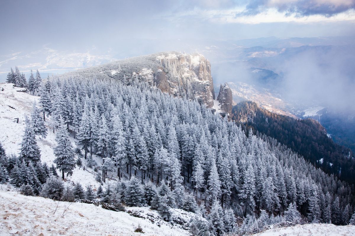 CeahlÄu Massif in winter, Eastern Carpathians in NeamÅ£ County, Romania