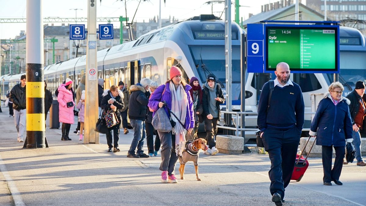 Fizetési káosz a MÁV-nál: akadozik a Simple rendszer – jegy nélkül maradhatnak az utasok