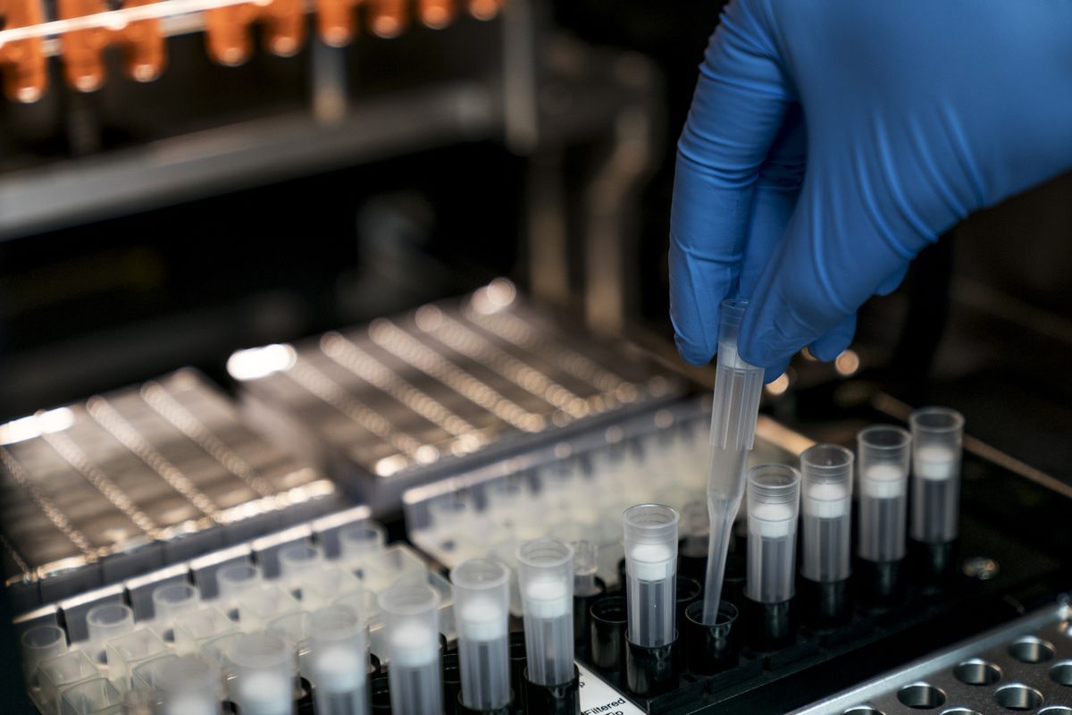kínai biotechnológia A technician handles a sample at a laboratory