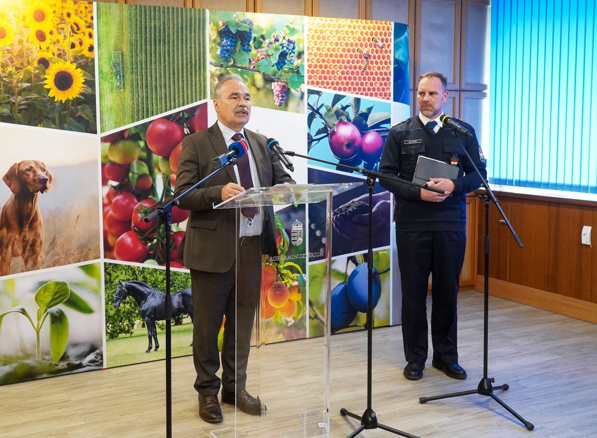 GÁL Kristóf; NAGY István, Száj- és körömfájás