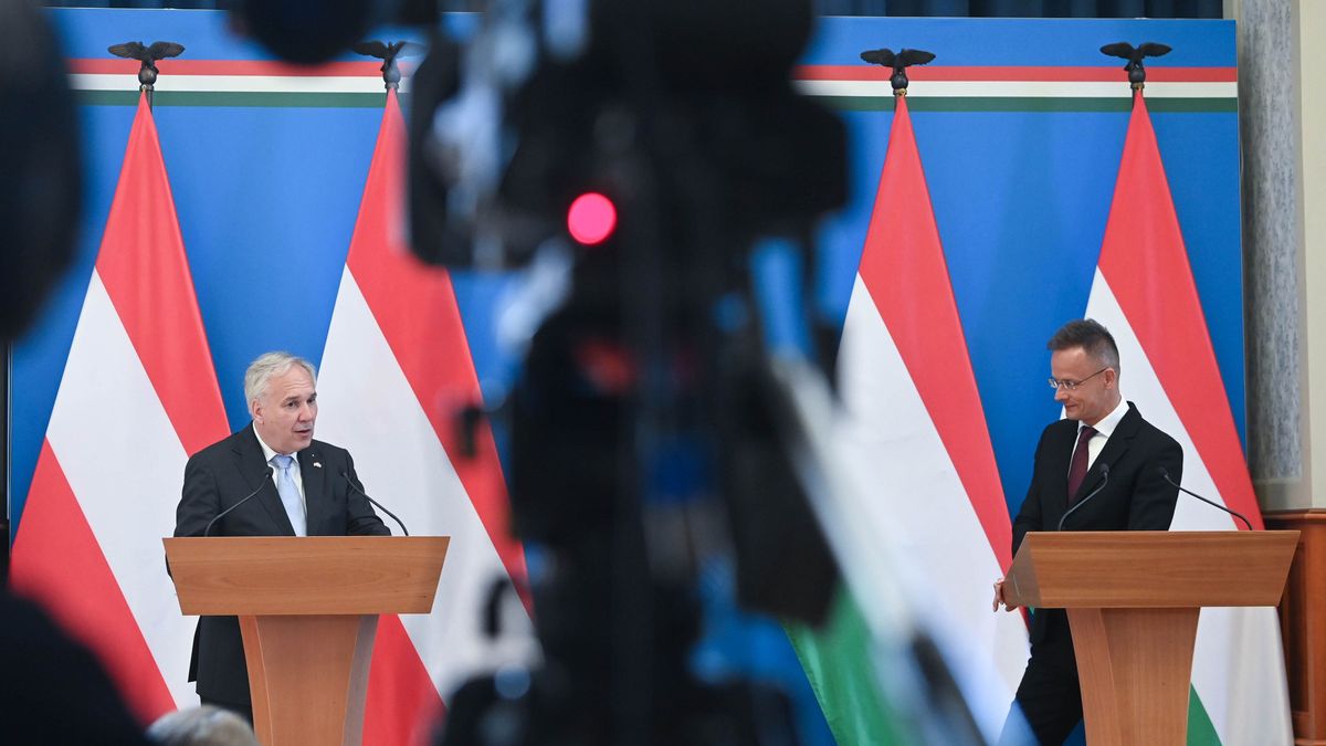 Szijjártó: a magyar és az osztrák patrióták meg akarják óvni az EU-t 