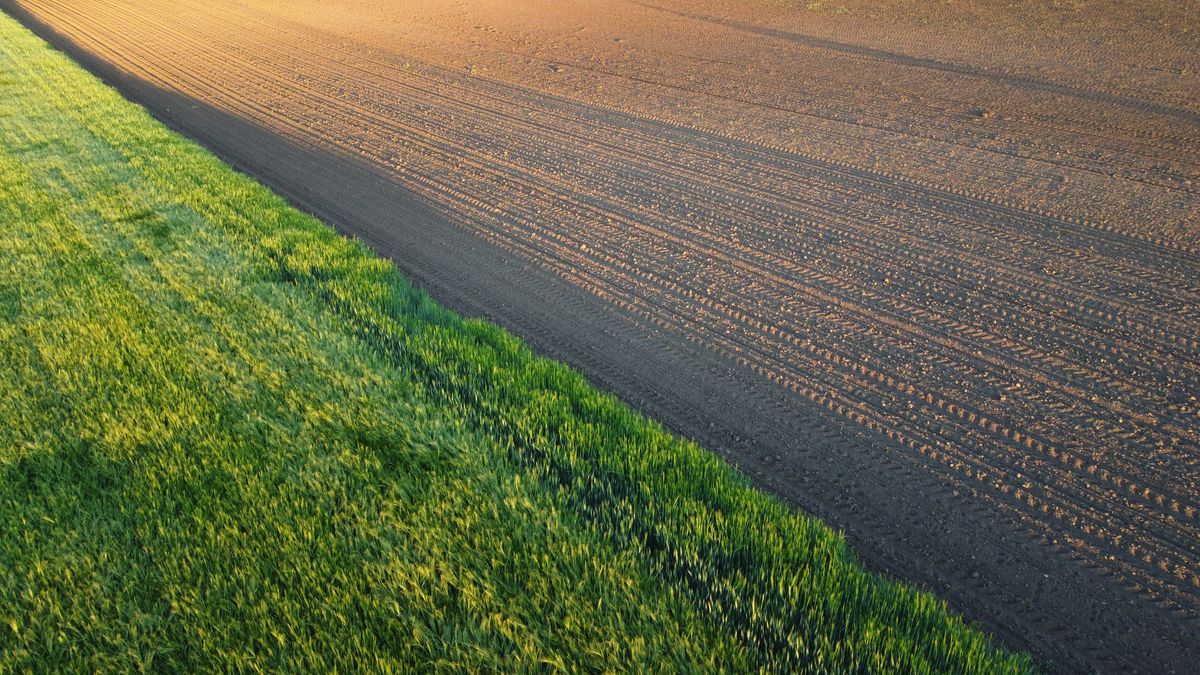 Agricultural,Fields,In,Spring,,In,Vojvodina,,Seen,From,The,Drone