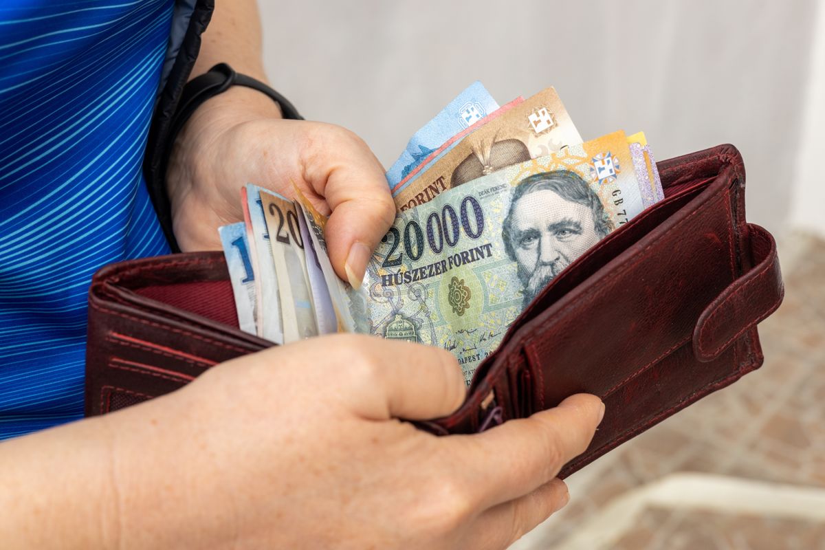 forint, pénz, fizetés, bankjegy