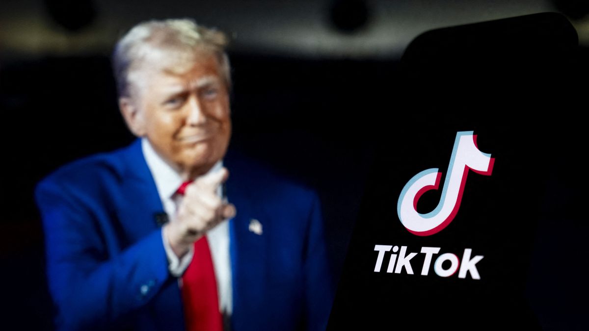 US President Donald Trump and TikTok