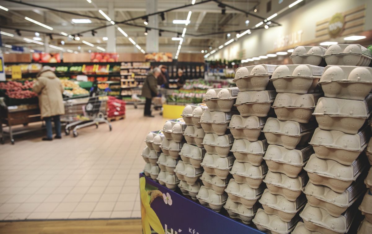 élelmiszer,20250318_tesco_044_VZ
