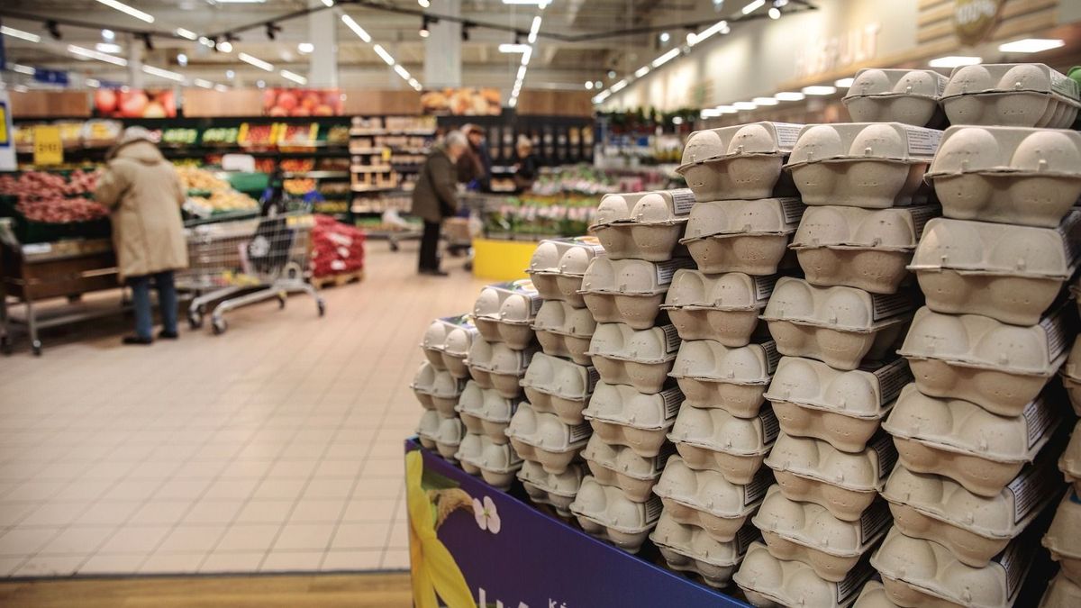 20250318_tesco_044_VZ