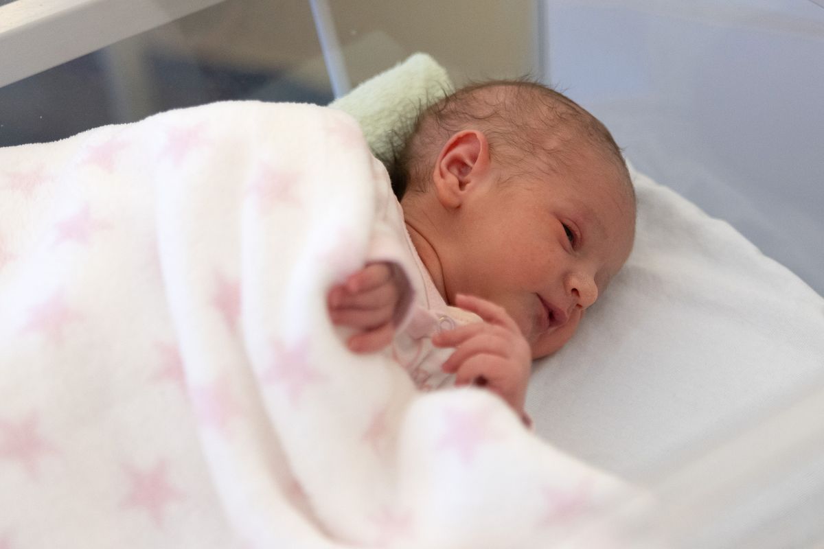 A babaváróból az év első két hónapjában 33,6 milliárd forint fogyott, ami 16 százalékos visszaesés a 2024-es szintekhez képest.