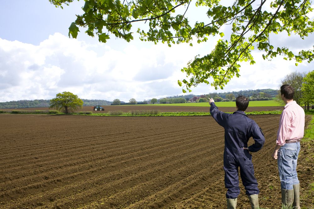 Farmers,Viewing,Ploughed,Fields,With,Tractor,In,Distance