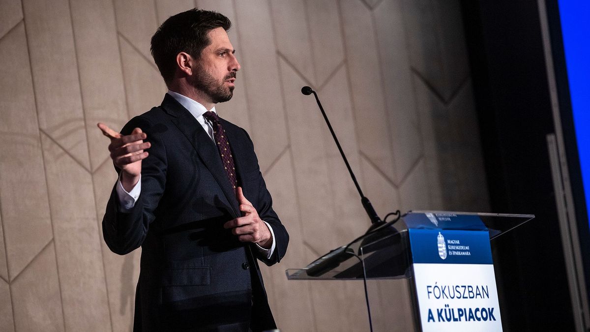 Magyar Levente KKM külgazdasági miniszterhelyettes magyar autóipar