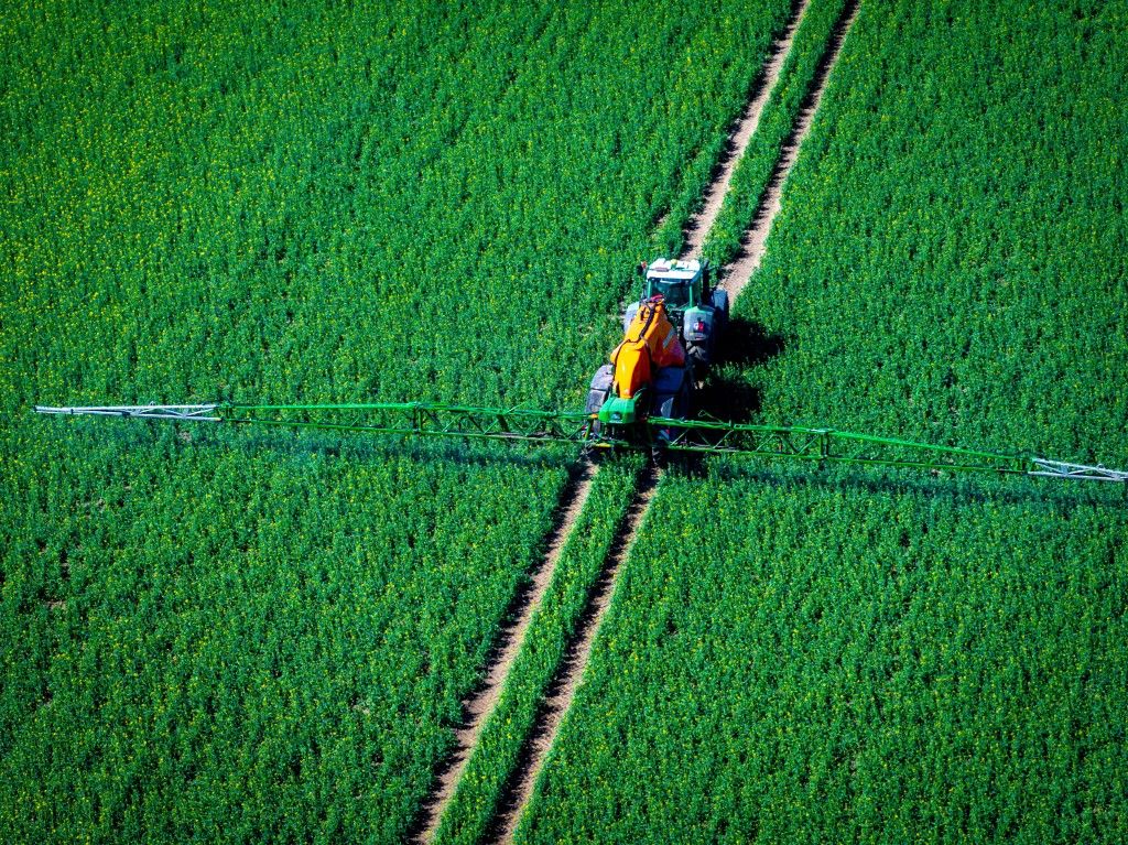 Plant protection in rapeseed fields, növényvédő szerek