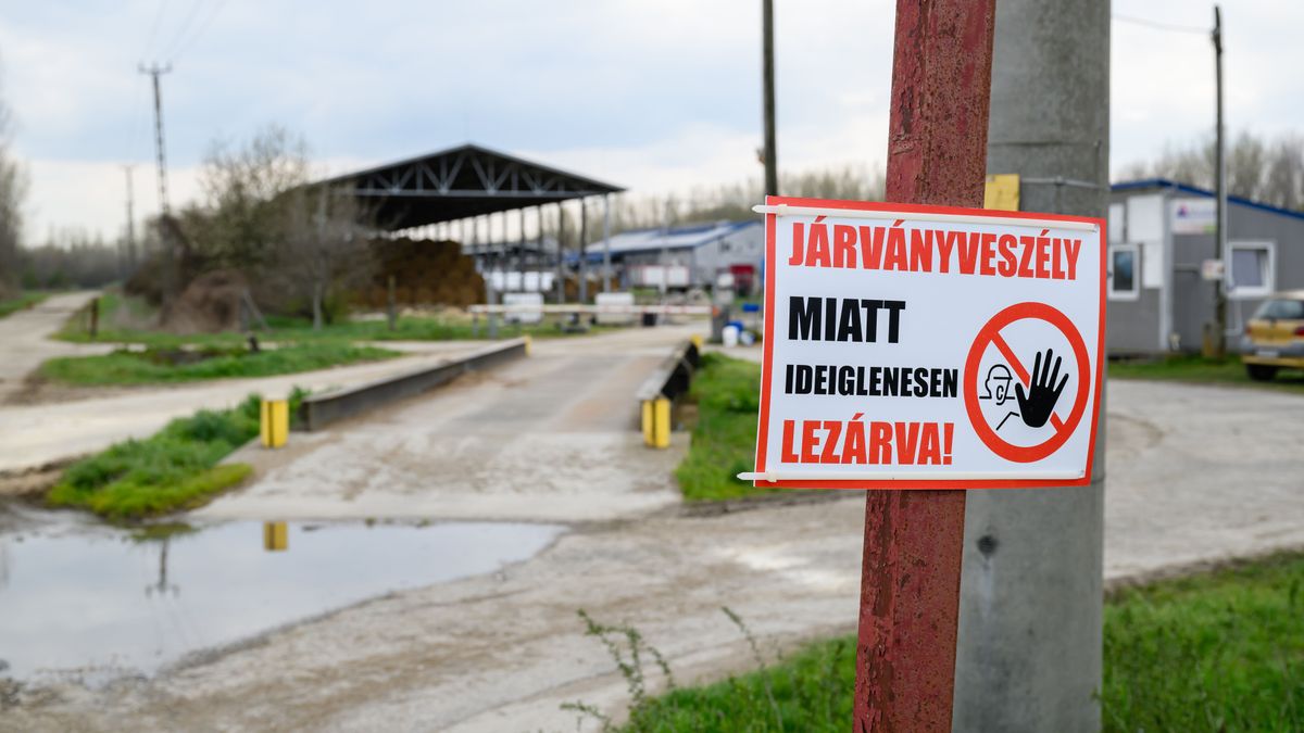 ragadós száj- és körömfájás
Nagy István
állategészségügy