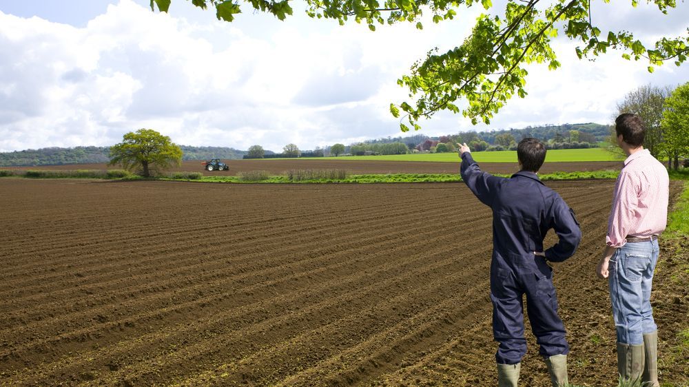 Farmers,Viewing,Ploughed,Fields,With,Tractor,In,Distance