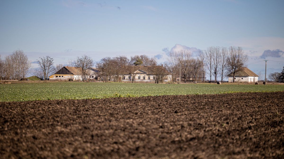 Új eszközzel támogatják a generációváltást a mezőgazdaságban 