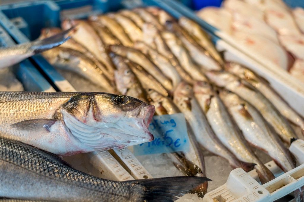 European Council Adopts Rules To Support EU Fisher Industry, akvakultúra