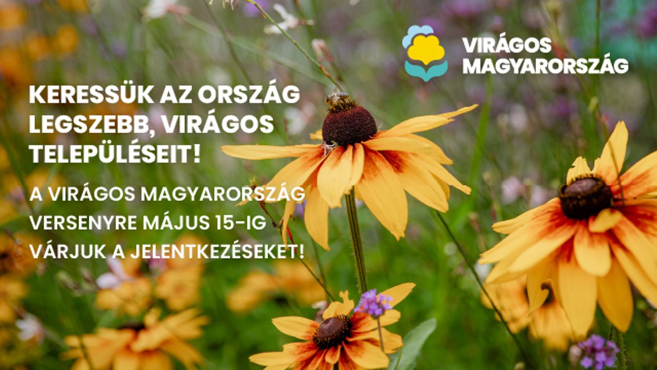 Szponzor logó
