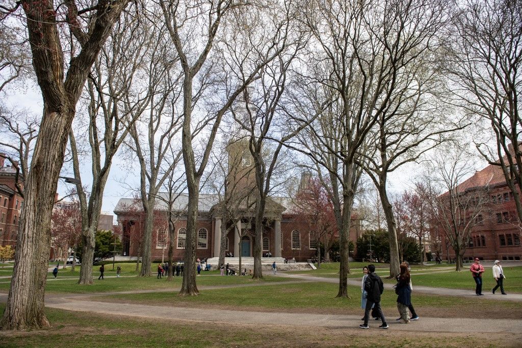 harvard Trump
