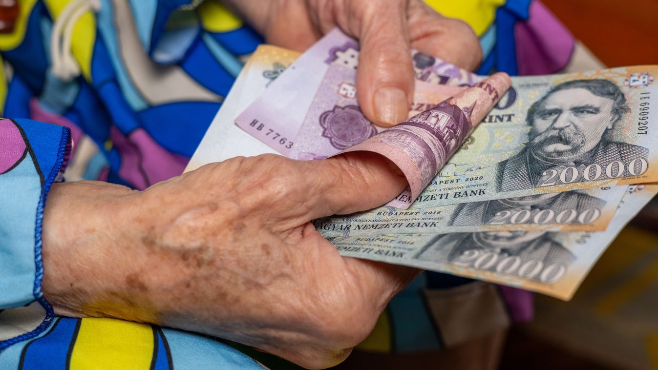 Nemcsak nyugdíjasok kapják: élelmiszerutalvány járhat a fogyatékossággal élőknek is Kép